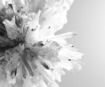 Le figement des attributs : quand une description devient une vérité stable Blogue